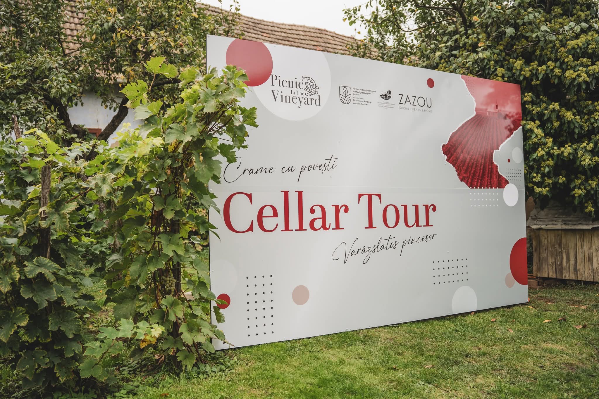Panoul Cellar Tour cu sigla Zazou